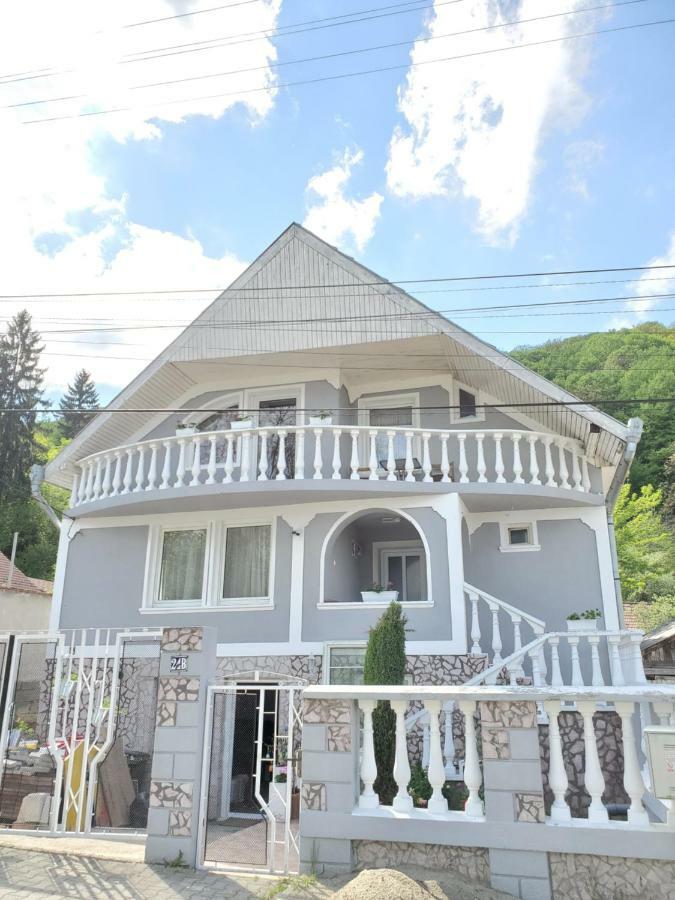 Casa Marian Hotel Сигишоара Екстериор снимка